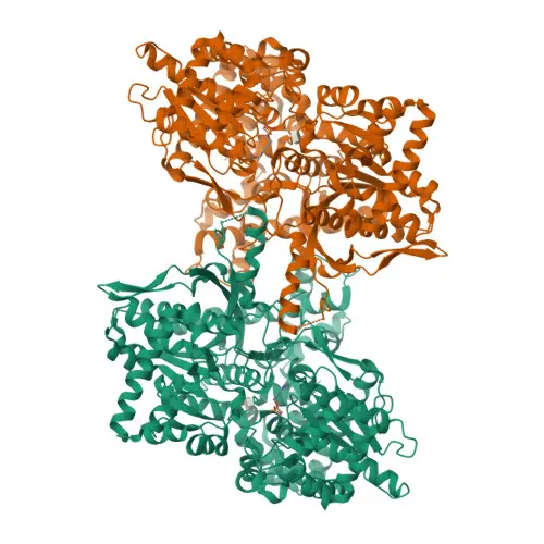 Phosphorylase B ex. Rabbit Muscle, 50U/mg