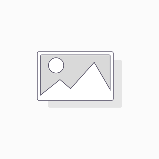 DraI (10U/mcl)