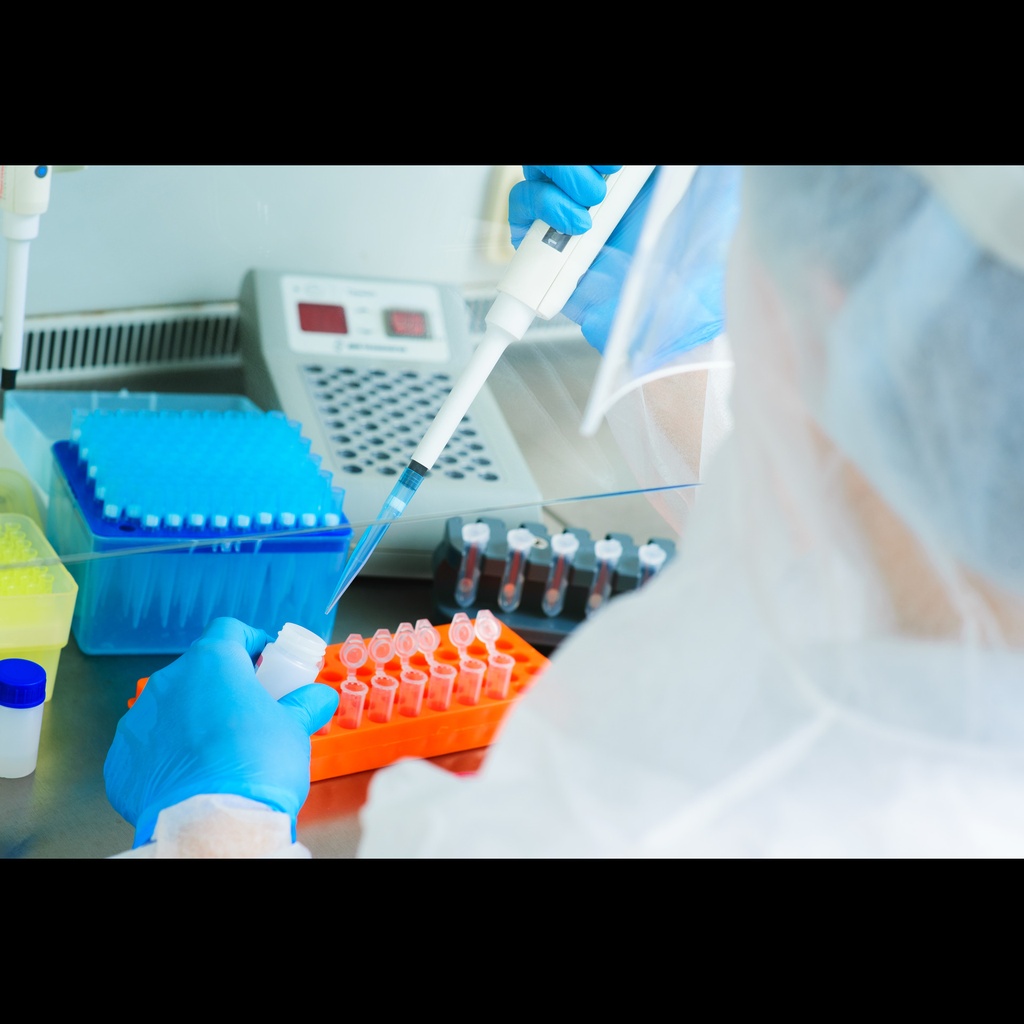 BioLit Gene Amplification Kit - PCR (Teaching)